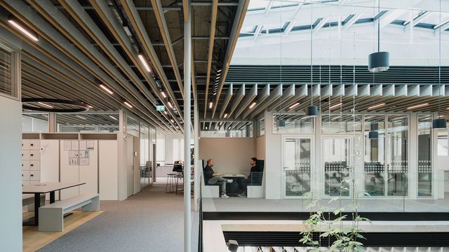 © M.O.O.CON | Foto: Studio Koekart