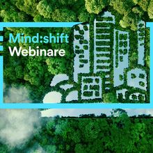 Mind:shift Webinar-Reihe